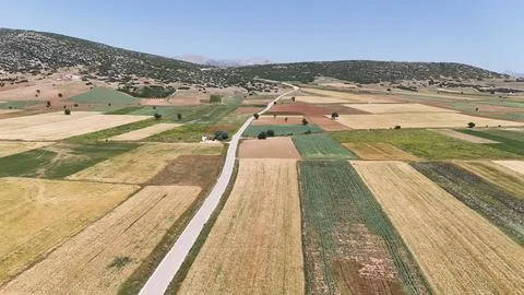 Fields winding road Stock-Fotos