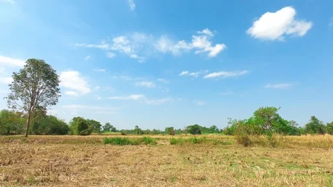 Fields, yellow grass after harvesting, sky, clouds,Timelapse Stock Footage 117592662