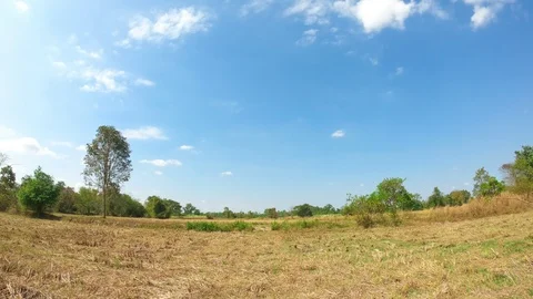 Fields, yellow grass after harvesting, sky, clouds,Timelapse Stock Footage 117592758