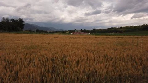 Fields46 Stock Photos