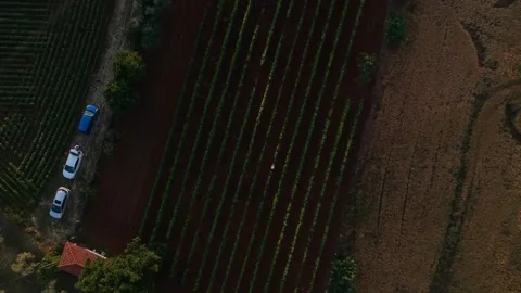 Fields5 Stock Footage 136503156