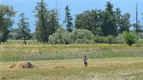 Fieldwork Stock Footage 11874335