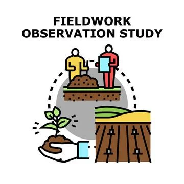 Fieldwork observation study concept collecting data Stock Illustration