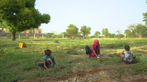 Fieldwork Scene with Group in Grassy Area Stock Footage 325092027