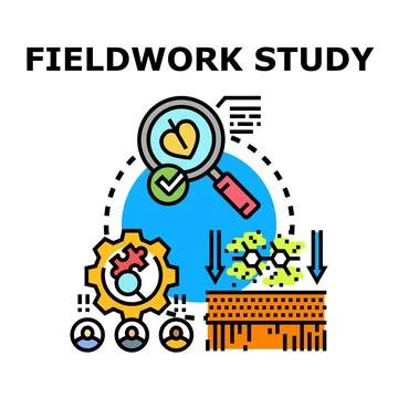 Fieldwork study research analyzing data collecting information Stock Illustration