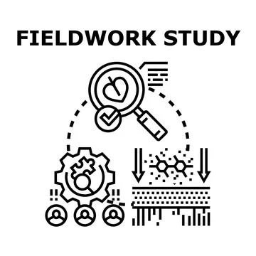 Fieldwork study research analyzing data collecting information Stock Illustration