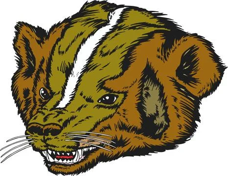Fierce Badger Head Mascot Logo, Aggressive Animal Illustration Stockillustratie