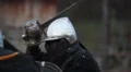 Fierce battle between two knights in steel armor, medieval tournament in action HD Footage