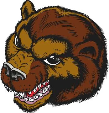 Fierce Bear Head Illustration - Aggressive Wild Animal Portrait Stock Illustration