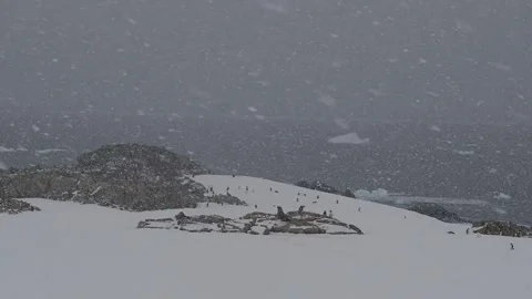 A fierce blizzard in Antarctica Vídeos de archivo 331187368