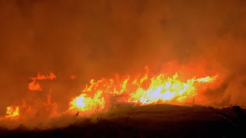 Fierce bush fires endanger a night ( close up) Stock Footage 86007574