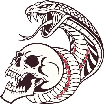 Fierce cobra snake and human skull detailed graphic tattoo style vector ill.. Stock Illustration