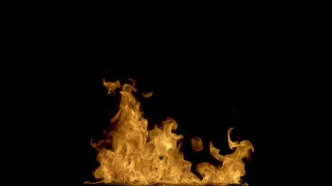Fierce Flames on Black Background Capturing Fire's Dynamic Dance and Intens.. Stock Footage 341920402