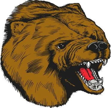Fierce Grizzly Bear Head Roaring with Sharp Teeth and Red Tongue Stock Illustration