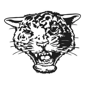 Fierce Leopard Head, Roaring, Black and White Illustration Stock Illustration