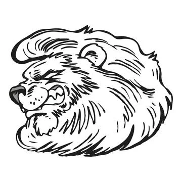 Fierce Lion Head Drawing - Aggressive Roar, Wild Animal Stockillustratie