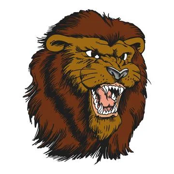Fierce Lion Head Roaring - Aggressive Animal Portrait Stock Illustration