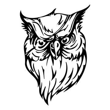 Fierce Owl Face Vector Art - Graphic Owl Illustration Stock Illustration