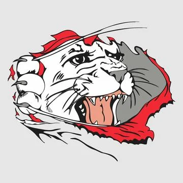 Fierce Tiger Face Ripped Paper Graphic Design Stock Illustration