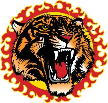 Fierce Tiger Head Roaring with Flames Graphic Ilustración de archivo