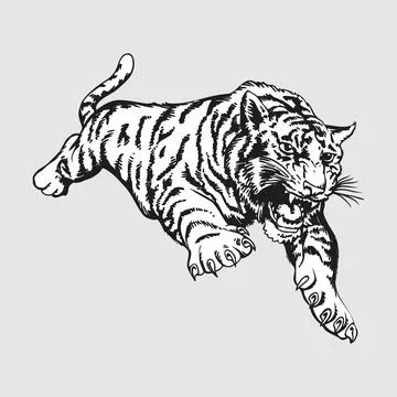 Fierce Tiger Running, Black and White Line Art Illustration Stock Illustration