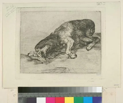 Fiero monstruo.. Goya, Francisco (1746-1828). Avery, Samuel Putnam, 1822-1... Stock Photos