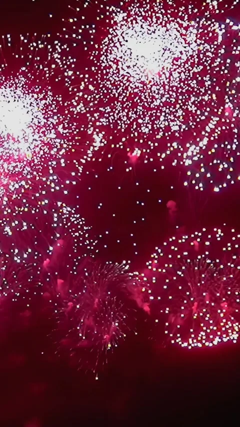 Fiery Blooms Paint Night Sky in Dazzling Fireworks Festival Stock Footage 344466629