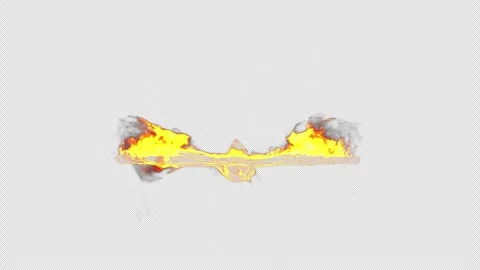 Fiery, burning bird on a transparent background with an alpha channel. Stock-Footage 272321458