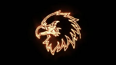Fiery Eagle Head Neon Glow Mascot Illustration on Black Background Vídeo Stock 333707221