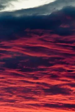 Fiery evening sunset Stock Photos