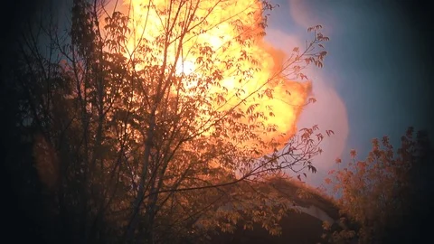 A fiery explosion in the forest. Terrorists mined the road. Fire in the forest.  Stock Footage 98860829