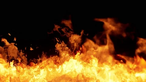 A Fiery flames blazing in front of black background Stock Footage 155305377