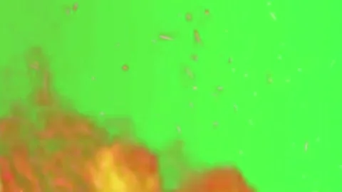 Fiery Flames Sparks Green Screen Widescreen Stock-Footage 344766702