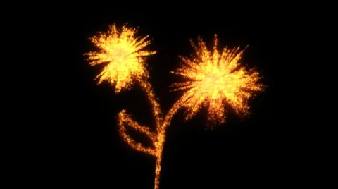 Fiery flower HD1080 Stock Footage 8550543