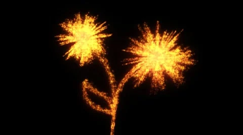 Fiery flower HD720 Stock Footage 8550489