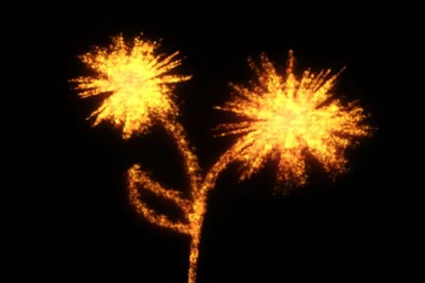 Fiery flower NTSC Stock Footage 8550443