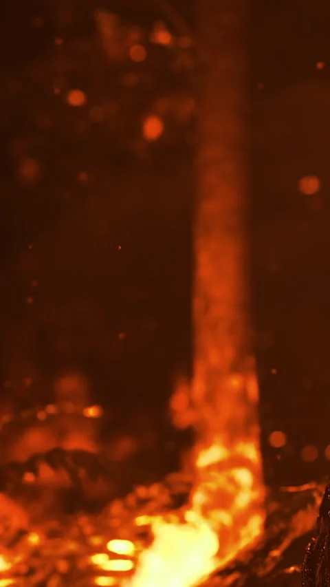 Fiery glow illuminating the forest at dusk creates a mesmerizing scene Stock Footage 334254976