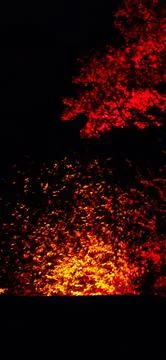 Fiery glowing foliage abstract Stock Photos