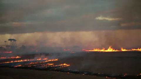 Fiery Grounds Video stock 58163122