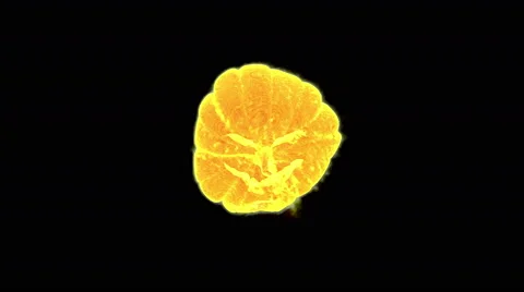 Fiery Halloween Stock Footage 68842485