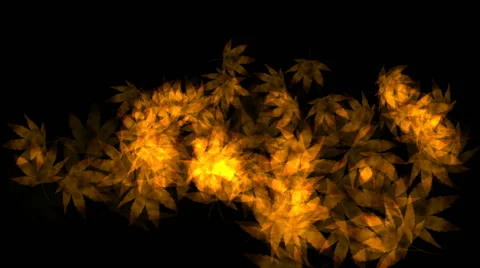 Fiery Leaf Shape Designs:  Looping + Matte Video stock 56289965