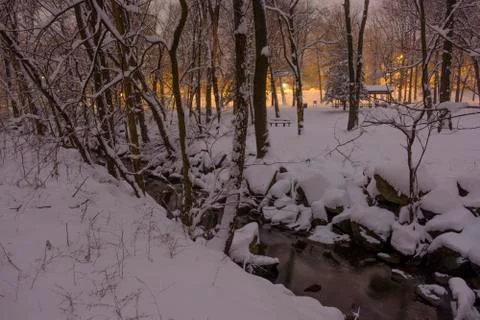 Fiery Lights in the Snow Foto stock