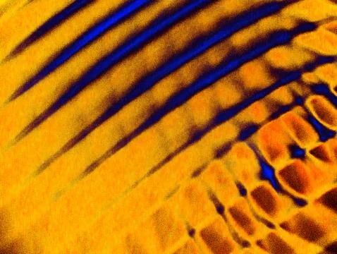 Fiery Orange Abstract Net Pattern Texture with Grunge Grain, Vibrant Fishne.. 스톡 일러스트