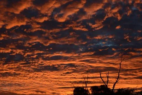 Fiery orange sunset in Australia Stock-Fotos
