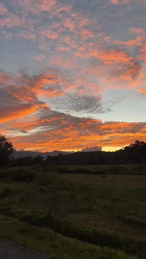 Fiery orange sunset clouds over rural landscape Stock Footage 337642704