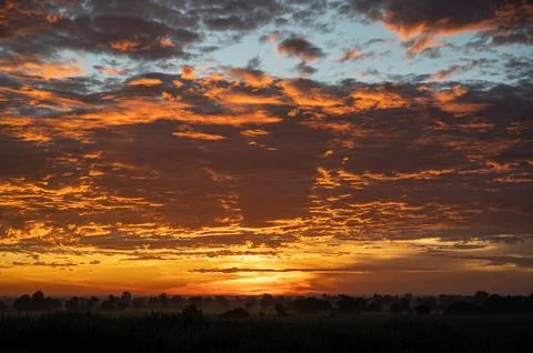 Fiery orange sunset sky in background. Stock Photos