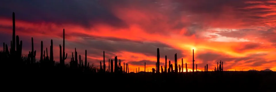 Fiery Panoramic Sunset Stock Photos