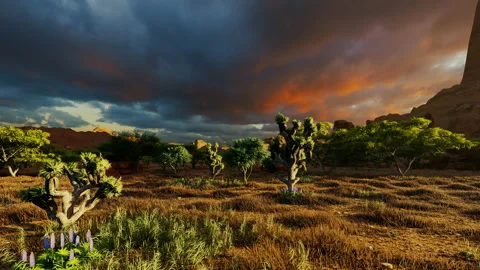 Fiery red evening sunset dusk clouds old american west navajo desert nature Stock Footage 181457669