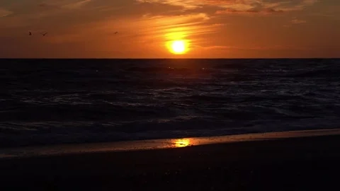 Fiery Red-Orange Sunset over North Sea with Seagulls, Billund, Denmark Stock Footage 335539585