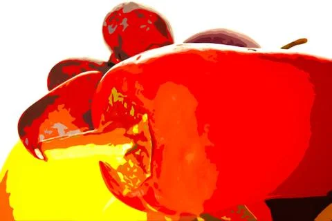 Fiery red peppers Stock Photos